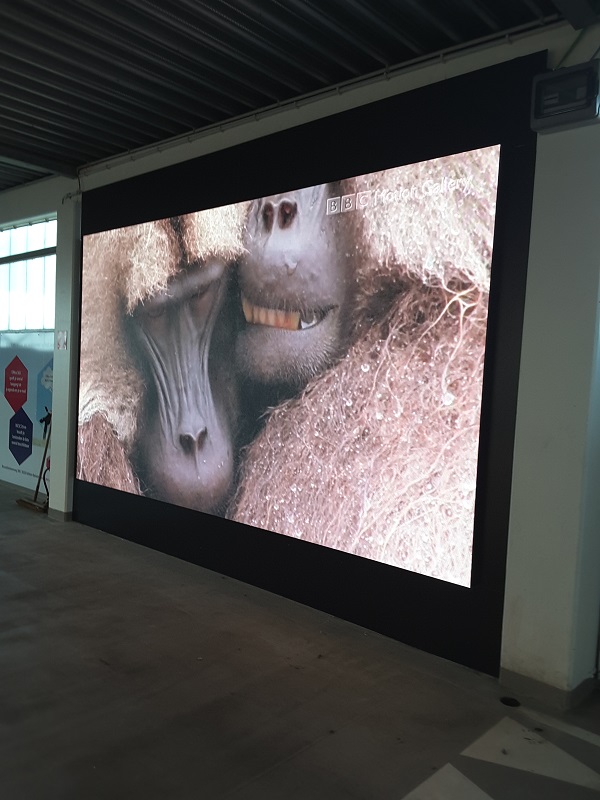 LED indoor, LED-scherm, LED display binnen